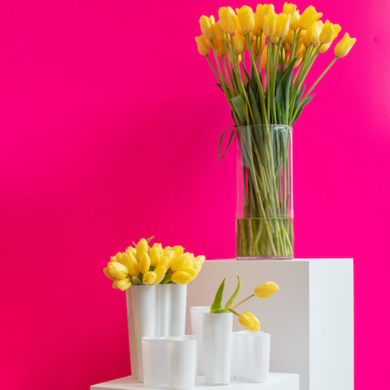 Homewares for Spring