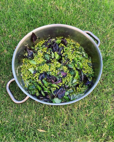 Spring Vegetable Box