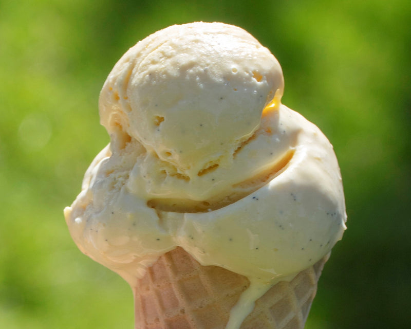River Cafe Ice Creams - Vanilla